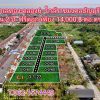 ที่ดินทำเลทองคลอง6-สด-ผ่อน ได้ใกล้ราชมงคล ธัญบุรี ปทุมธานี- T.062-1574449