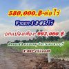 ที่ดินถูกมากใกล้ชุมชนมีเพื่อนบ้านที่คลอง13-หนองหมู-สระบุรี.T.062-1574449