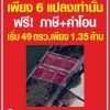 ขายที่ดินนนทบุรี ไทรน้อย บางบัวทอง-ถมแล้ว เส้นบ้านกล้วย-ไทรน้อย ซอยสามัคคีธรรม2 โทร 095-4681414